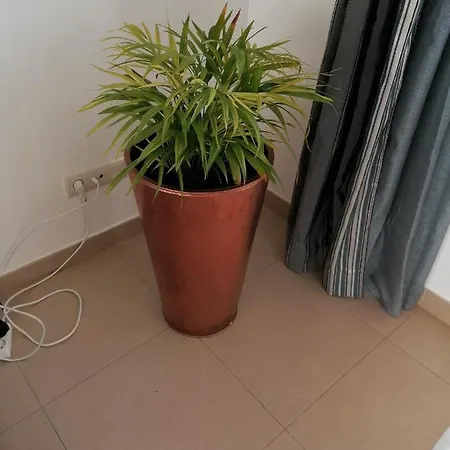 Appartement Modern With Sunny South Facing Terrace *